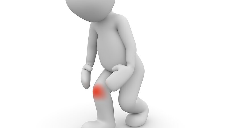 Knie Ratgeber