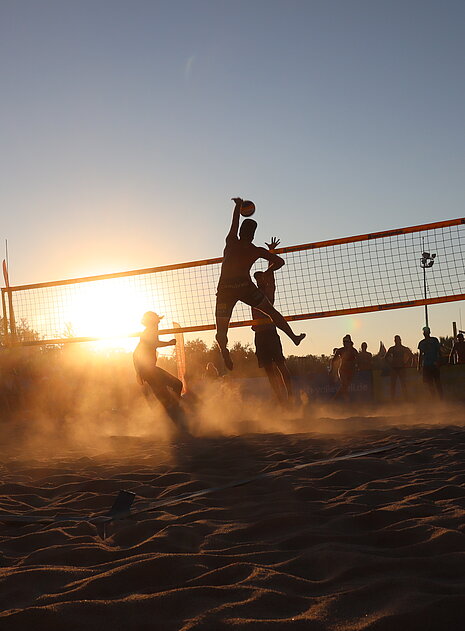 Top-Sport