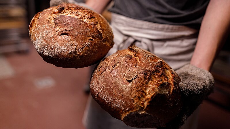 6. November Das faule Brot